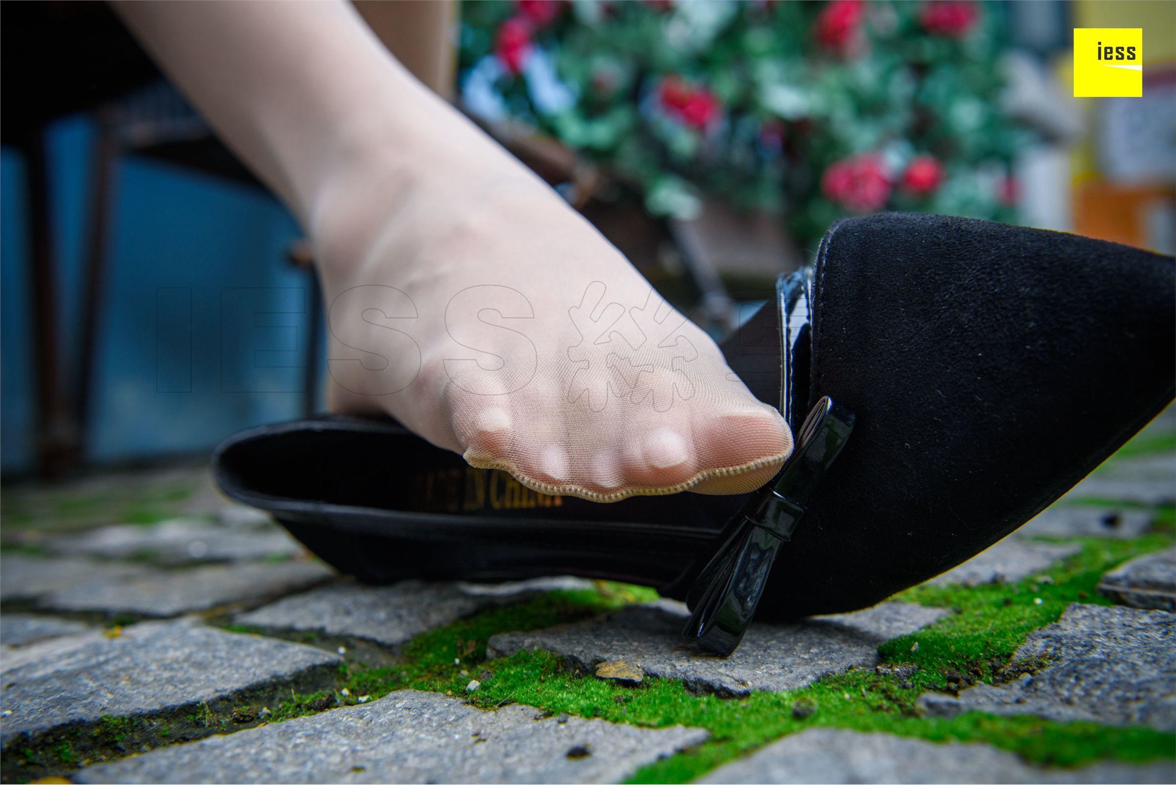 [IESS异思趣向]2018-02-01 No.161婉萍《玫瑰与肉丝》